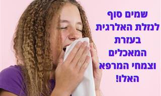 7 מאכלים ו-4 צמחי מרפא שיעזרו לכם להילחם בנזלת האלרגית