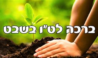 ברכה מרגשת לט