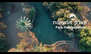 מסלול יום מומלץ למשפחות בגליל התחתון בפארק המעיינות