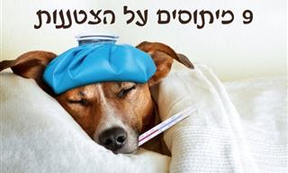 9 מיתוסים על הצטננות שצריך להפסיק להאמין בהם