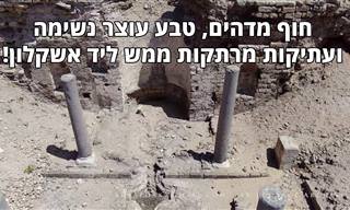 צילמו אוויר מרהיבים של הנופים והטבע בגן לאומי אשקלון