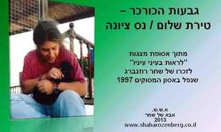 גבעות הכורכר של טירת שלום