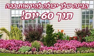 8 פרחים שמלבלבים מהר ומראים תוצאות צבעוניות תוך זמן קצר