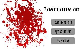 בחן את עצמך: האם אתה מונע מההיגיון או מהרגש?