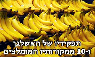 תפקידיו של האשלגן ו-10 ממקורותיו הטובים ביותר