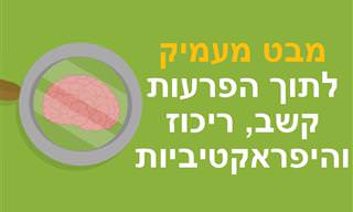 מבט מעמיק לתוך הפרעות קשב, ריכוז והיפראקטיביות