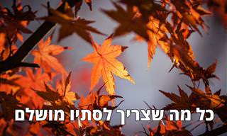 כל מה שצריך כדי ליהנות מסתיו בריא ומהנה