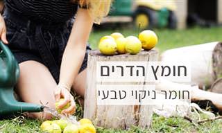 מדריך להכנת חומר ניקוי רב תכליתי, טבעי ובטוח לכל חלקי הבית