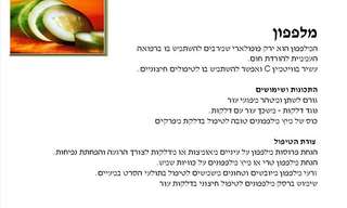 מקורות טבעיים לטיפול יעיל!
