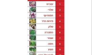 סקר 