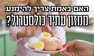 10 מזונות עתירי כולסטרול – אילו מומלץ לאכול ומאילו כדאי להימנע?