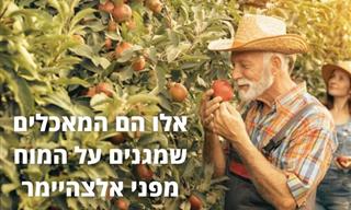 חוקרים גילו: אלו הם חומרי ההזנה שחסרים במוחם של חולי אלצהיימר