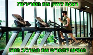 מחקר על התרומה הרבה של עלים ירוקים לחיזוק השרירים שלנו