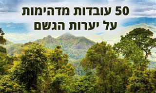 50 עובדות מדהימות על יערות הגשם