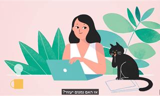 כמה זמן צריכה להיות תנומה באמצע היום?