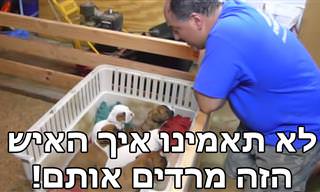 סרטון מקסים של גבר מרדים קבוצת כלבלבים עם שיר ערש