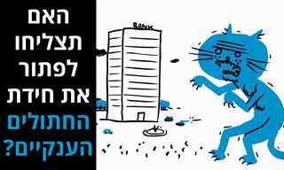 חידת צבא החתולים הענקי