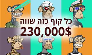 מה זה NFT והאם באמת אפשר להפוך ממנו למיליונרים?