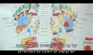 טיפול בכאבי גב באמצעות הרפואה הסינית