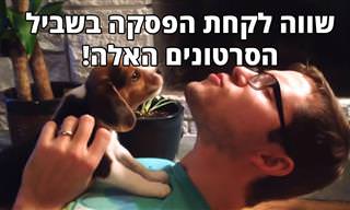 5 סרטונים נהדרים שתוכלו לשתף עם משפחה וחברים