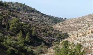 טיול בהרי ירושלים: אזור נטף ונחל יתלה