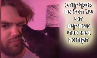 עושים צחוק מהסגר: קטעי הכלבים הכי מצחיקים מימי סגרי הקורונה