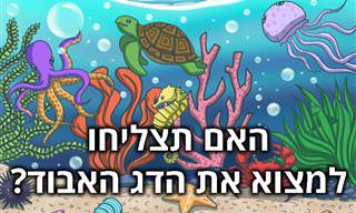 בחנו את עצמם: מצאו את החפצים והדמויות הנסתרים