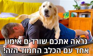 כלב חמוד שלא מוכן לתת לבעלים שלו להתאמן