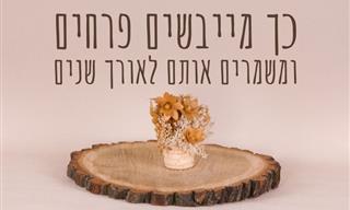 5 שיטות לייבוש פרחים