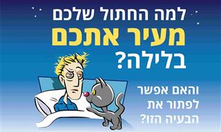 5 סיבות שבגללן החתול שלכם מעיר אתכם בלילה – ומה לעשות עם זה