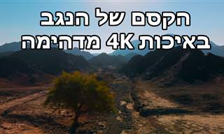 סרטון מרהיב שיציג בפניכם את נפלאות הטבע בנגב