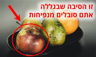 מזונות שגורמים לנפיחות ודרכים להימנע מהבעיה