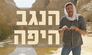 סיור מודרך בנגב: הקסם של דרך הבשמים