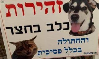 15 שלטים מלאי הומור וטעויות שיגרמו לך לצחוק