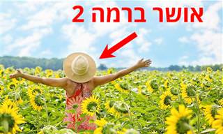 8 סוגי האושר – גלו אילו הם העוצמתיים ביותר