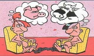 כמה כיף להיות נשוי - משעשע!