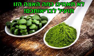 מהי כלורלה ו-8 מיתרונותיה הבריאותיים