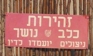 15 שלטים 