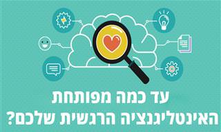 אינטליגנציה רגשית: איך לשפר את היכולת לזהות, להעריך ולנהל את הרגשות
