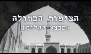 סרטון מרתק המספר את סיפורו של מבצע יהלום ('הציפור הכחולה')