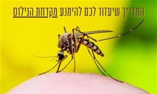 קדחת הנילוס: סימנים, גורמי הדבקה ואזהרות חשובות