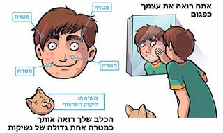 מה הכלב שלכם רואה ומרגיש כשהוא מתבונן בכם?