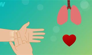 איך להשפיע לטובה על קצב פעימות הלב?