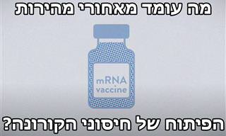 הסבר מרתק: איך חיסוני הקורונה יוצרו כל כך מהר?