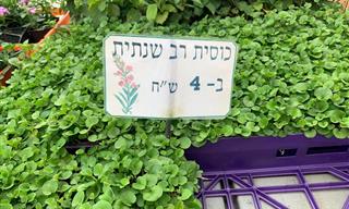 15 תמונות של שלטים מצחיקים שיעשו לך את היום
