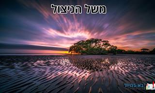 משל הניצול: הסרטון שיבהיר לכם למה אסור להתייאש בשום מצב