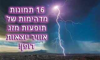 16 התמונות זוכות מתחרות 