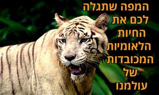 מפה אינטראקטיבית של חיות לאומיות מרחבי העולם