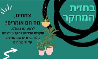 פריצת דרך עולמית בישראל: צמחים יכולים 