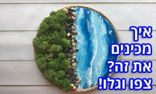 10 סרטוני 
